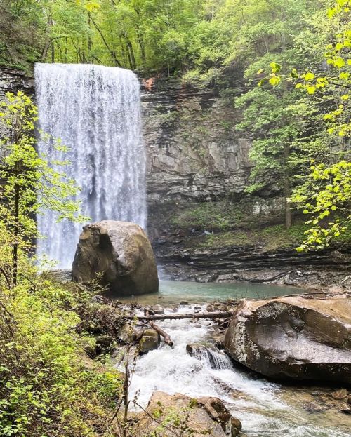 A serene waterfall cascades over rocks, surrounded by lush green trees and a tranquil stream below.
