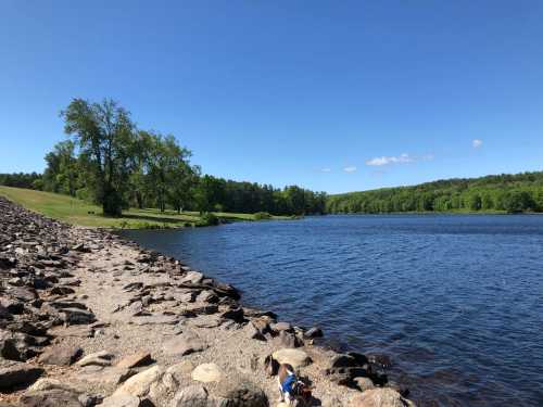 A serene lake surrounded by greenery, with a rocky shore and clear blue sky on a sunny day.