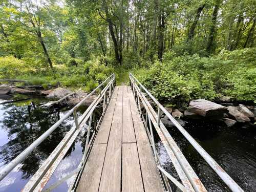 A wooden bridge spans a calm stream, surrounded by lush green trees and foliage.