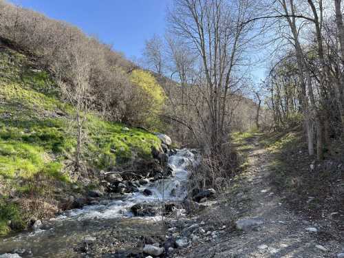 A serene landscape featuring a flowing stream beside a dirt path, surrounded by bare trees and green grass.