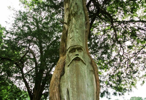 A carved tree trunk depicting a face with a crown, surrounded by lush green foliage.