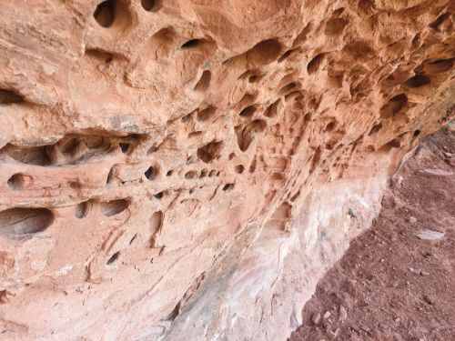 Close-up of a textured rock surface with numerous small holes and indentations, showcasing natural erosion patterns.
