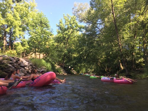 People floating on colorful inner tubes down a serene river, surrounded by lush green trees and a clear blue sky.