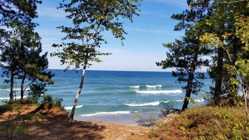 A serene view of a beach with gentle waves, framed by trees under a clear blue sky.