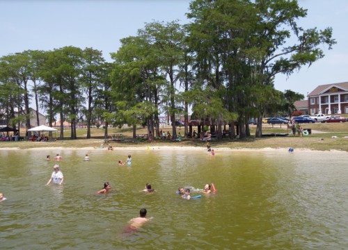People swimming and relaxing in a lake surrounded by trees and a grassy area on a sunny day.