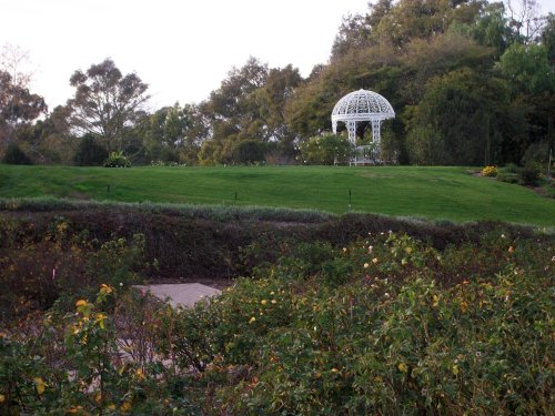 A white gazebo on a grassy hill, surrounded by lush greenery and blooming rose bushes in a serene garden setting.