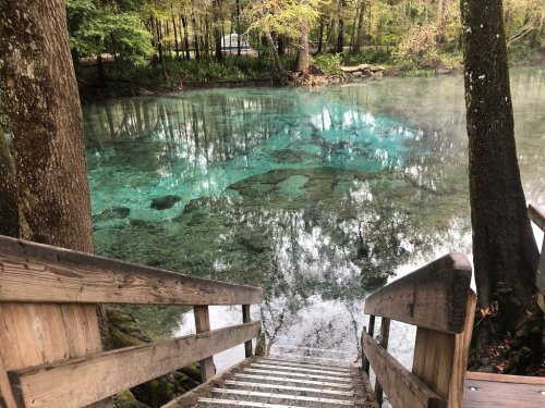A wooden staircase leads down to a serene, clear blue spring surrounded by trees and mist.