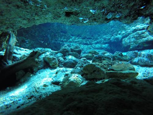 Underwater view through a rocky cave, showcasing clear blue water and scattered stones on the sandy bottom.