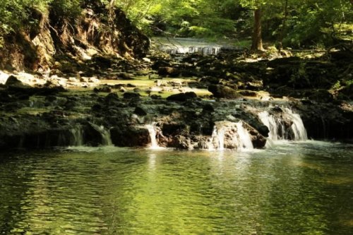 A serene forest scene featuring a gentle waterfall cascading over rocks into a calm, reflective pool.