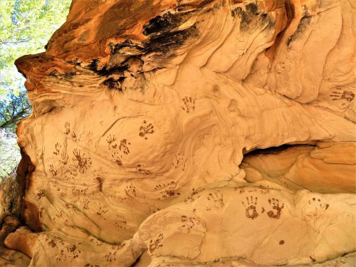 Ancient handprints and markings on a sandstone rock surface, surrounded by natural textures and colors.