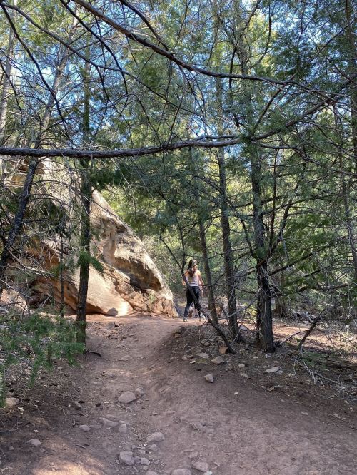 A person walks along a dirt path surrounded by trees and rocky terrain in a forested area.