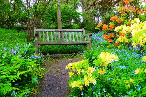 A wooden bench surrounded by vibrant flowers and lush greenery in a serene garden setting.