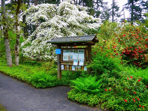 A wooden information board surrounded by lush greenery and blooming flowers in a serene park setting.
