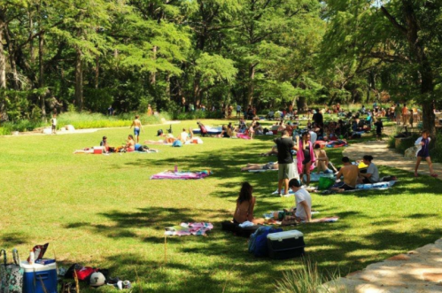 A sunny park scene with people relaxing on blankets, surrounded by trees and greenery. Families and friends enjoy the outdoors.