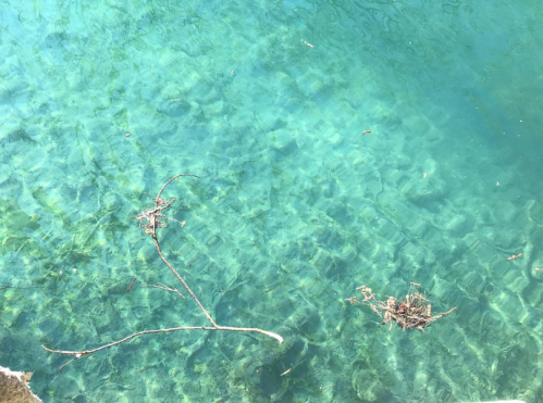 Clear turquoise water with gentle ripples, featuring a few twigs and small debris floating on the surface.