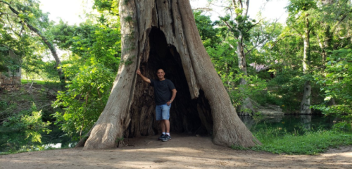A person stands inside a large hollow tree trunk surrounded by lush greenery and a serene landscape.