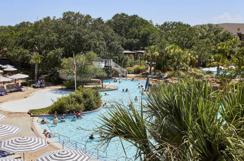 A sunny pool area with people swimming, surrounded by lush greenery and lounge chairs under umbrellas.
