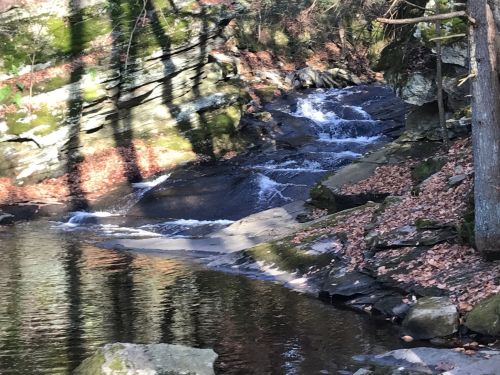 A serene stream flows over rocks, surrounded by trees and autumn leaves in a peaceful natural setting.