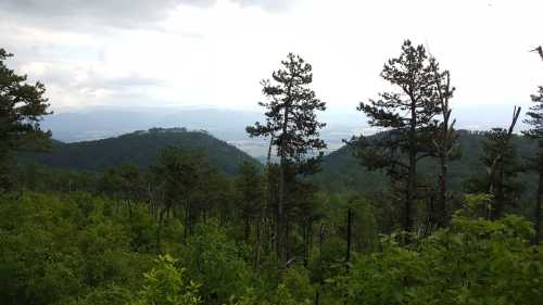 A scenic view of mountains and valleys, with tall trees in the foreground under a cloudy sky.