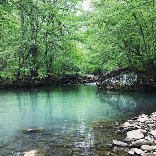 A serene river flows through a lush green forest, with smooth stones lining the water's edge.