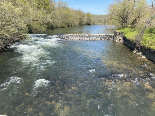 A serene river flows through a lush landscape, with gentle rapids and rocky banks under a clear blue sky.