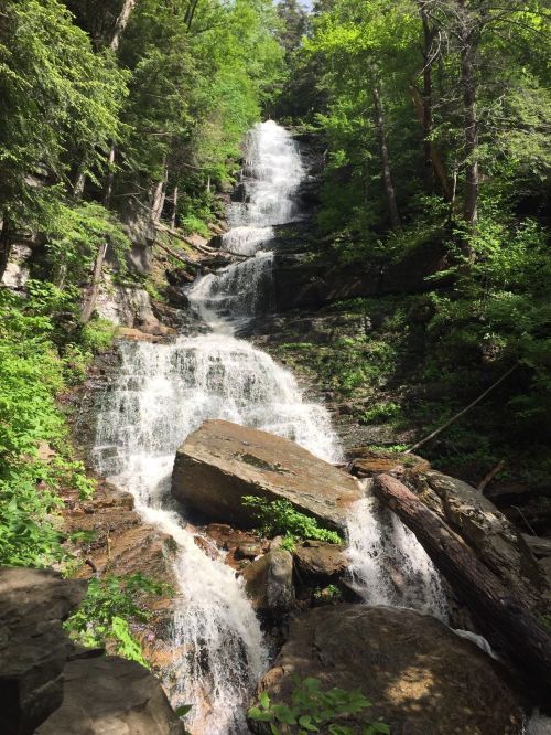 A cascading waterfall flows down rocky terrain, surrounded by lush green trees and foliage.