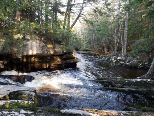 A serene river flows through a forest, surrounded by rocks and trees, with sunlight filtering through the leaves.