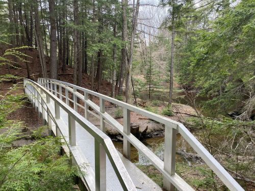 A white wooden bridge spans a small creek, surrounded by lush green trees in a serene forest setting.
