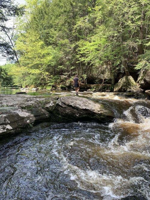 A person stands on a rock by a flowing river, surrounded by lush green trees and a serene natural landscape.
