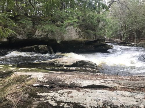 A flowing river surrounded by rocky banks and lush green trees in a serene natural setting.
