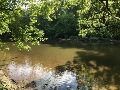 A serene river scene surrounded by lush green trees, with calm water reflecting the foliage above.