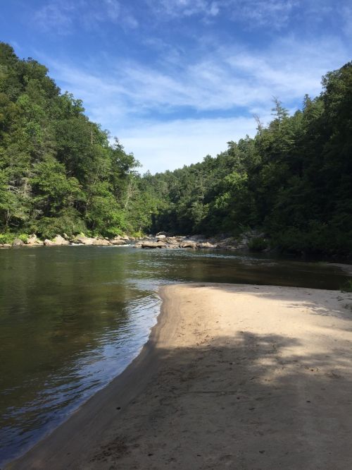 A serene river flows through a lush green landscape, with sandy banks and trees lining the water's edge under a blue sky.