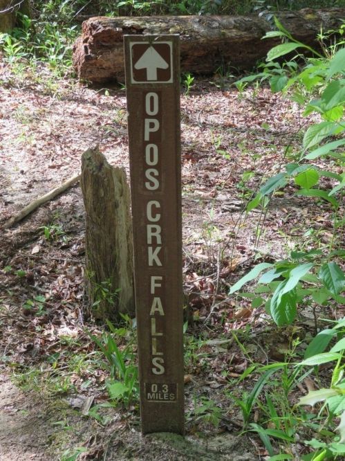 Trail sign for Opos Creek Falls, indicating a distance of 0.3 miles to the falls, surrounded by greenery.