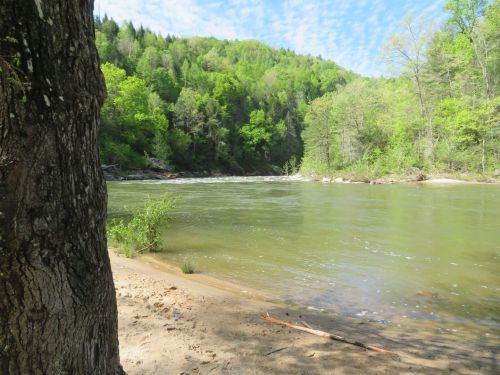 A serene river flows through a lush green landscape, framed by trees and a sandy bank under a blue sky.