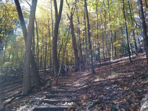 A wooded path with autumn leaves, featuring two people walking up wooden steps through tall trees.