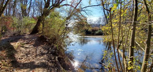 A serene river scene surrounded by trees and colorful foliage under a clear blue sky.