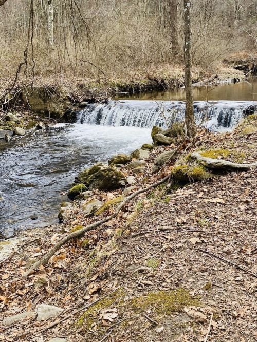 A serene stream flows over a small waterfall, surrounded by bare trees and scattered leaves in a tranquil forest setting.