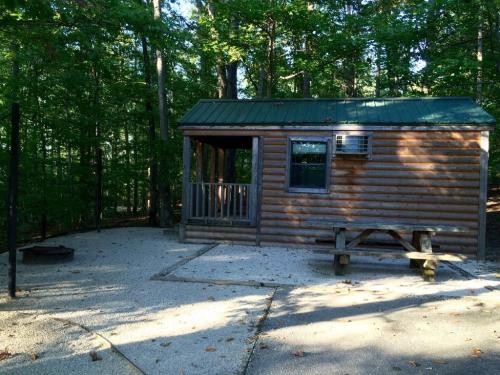 A small wooden cabin with a green roof, surrounded by trees, featuring a picnic table and fire pit area.