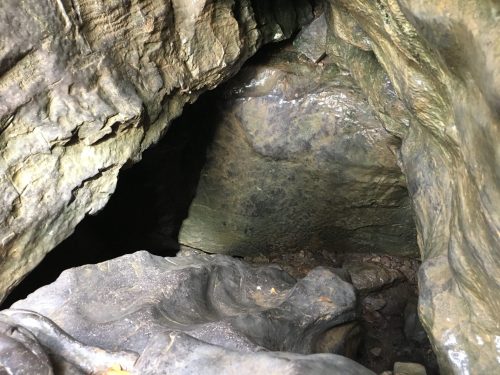 A rocky cave interior with uneven surfaces and dark crevices, showcasing natural stone textures and formations.