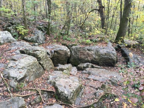 Rocky terrain in a forest with scattered leaves and trees in autumn colors.