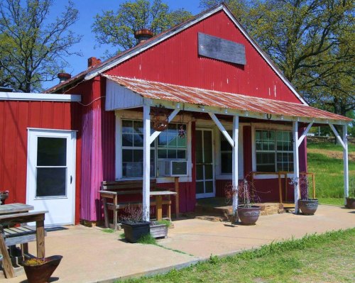A rustic red barn-style building with a metal roof, surrounded by greenery and potted plants on a sunny day.