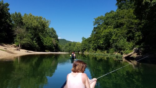 A person in a canoe paddles on a calm river surrounded by lush green trees under a clear blue sky.