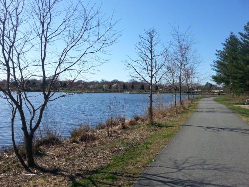 A serene lakeside path lined with bare trees under a clear blue sky, reflecting calm water.