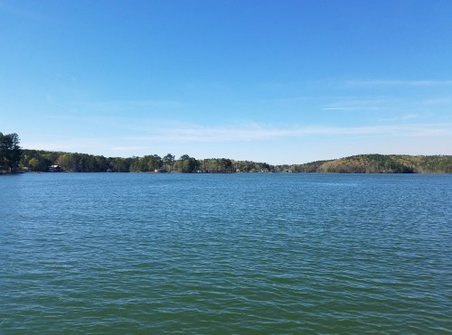 A serene lake surrounded by trees under a clear blue sky, with gentle ripples on the water's surface.