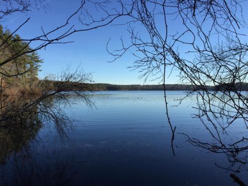 A serene lake view framed by bare branches under a clear blue sky.