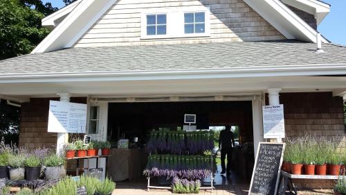 A charming market with a wooden exterior, featuring potted plants and a welcoming sign. Sunlight brightens the scene.