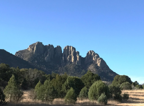 A rugged mountain range rises against a clear blue sky, surrounded by green shrubs and trees in the foreground.