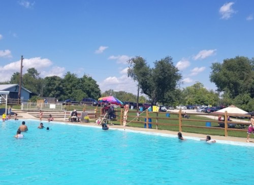 A sunny outdoor pool scene with people swimming and relaxing, surrounded by trees and colorful umbrellas.