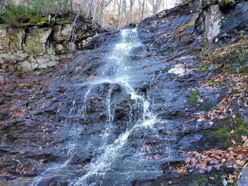 A small waterfall cascading down a rocky slope, surrounded by autumn leaves and trees.