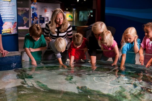 A group of children and an adult interact with a touch tank at an aquarium, exploring marine life together.